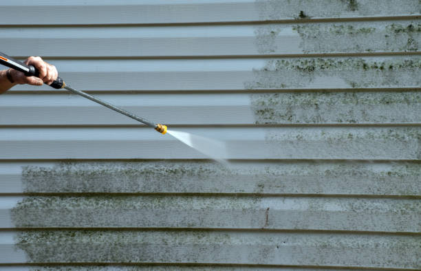 Roof Power Washing Services in Dresden, OH